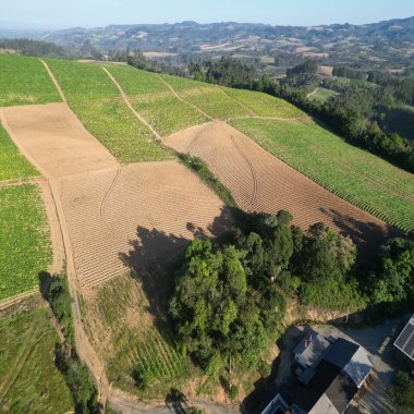 Propriedade Rural Completa para Plantio de FUMO – Serra do Cascalho, Santa Terezinha/SC Propriedade Rural Completa para Plantio de FUMO – Serra do Cascalho, Santa Terezinha/SC